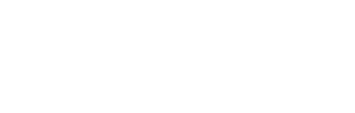Naviera Drakkar